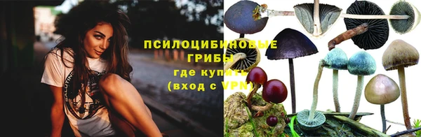 дурь Корсаков