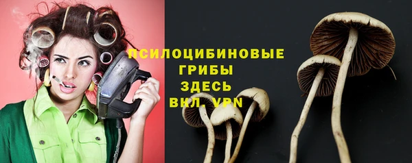 дурь Корсаков