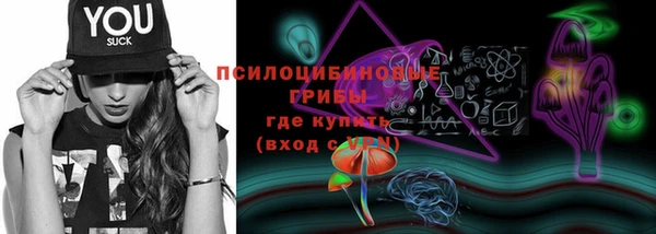 дурь Корсаков
