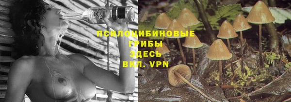 МДПВ Коряжма