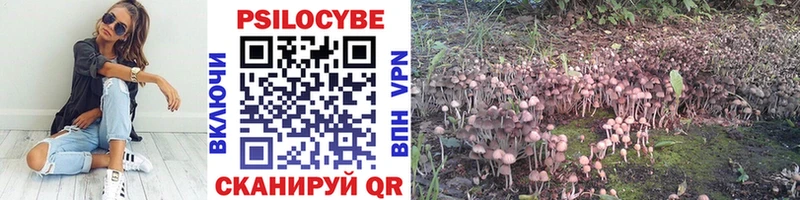 Псилоцибиновые грибы мухоморы  Купить закладки  Шелехов 